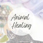 Cat healing for cat aura cleansing reiki healing for cat