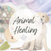 Dog healing for dog aura cleansing