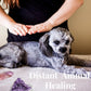 Dog gift / pet gift / Cat and Dog healing / Reiki for pets / chakra health for dog and cat